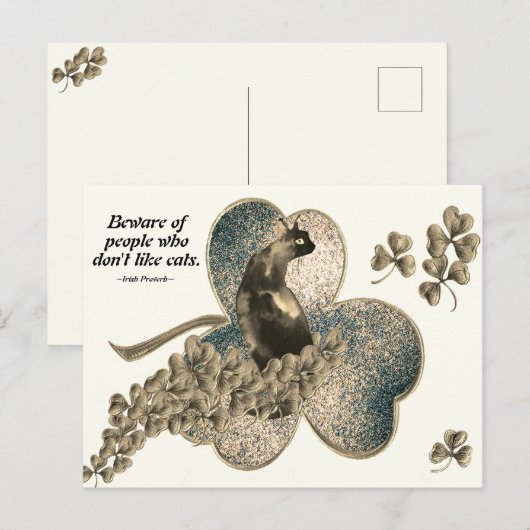 Pas op voor mensen die niet van katten houden briefkaart (Voorkant / Achterkant)