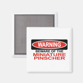 Pas op voor miniatuur Pinscher Magneet (Voorkant / Achterkant)