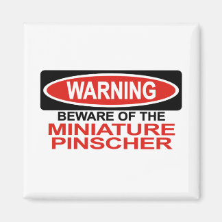 Pas op voor miniatuur Pinscher Magneet