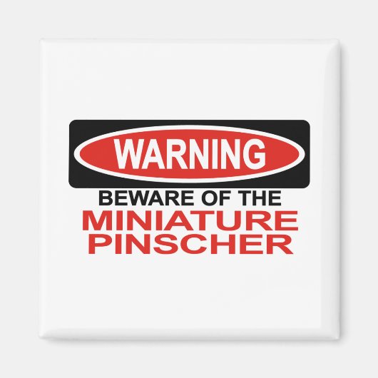 Pas op voor miniatuur Pinscher Magneet (Voorkant)