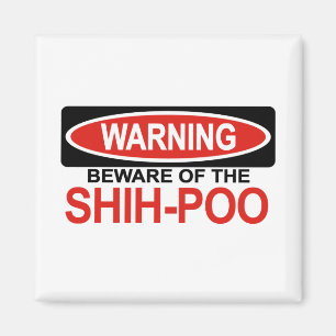 Pas op voor Shih-Poo Magneet