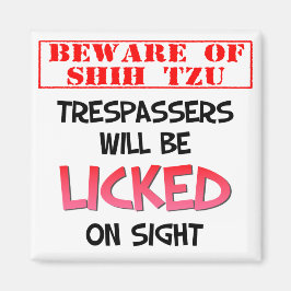 Pas op voor Shih Tzu (wit) 2 inch vierkante magnee Magneet
