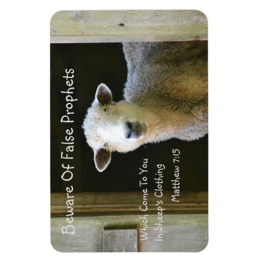 Pas op voor valse profeten magneet (Verticaal)