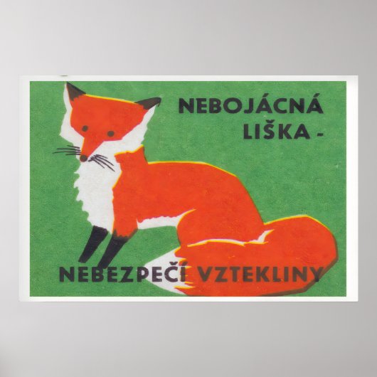 Pas op Vossen Dragen Hondsdolheid - Matchbox Print (Voorkant)