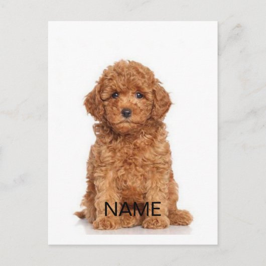 Pas personaliseren aan met foto's en namen briefkaart (Voorkant)