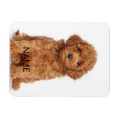 Pas personaliseren aan met foto's en namen magneet (Horizontaal)