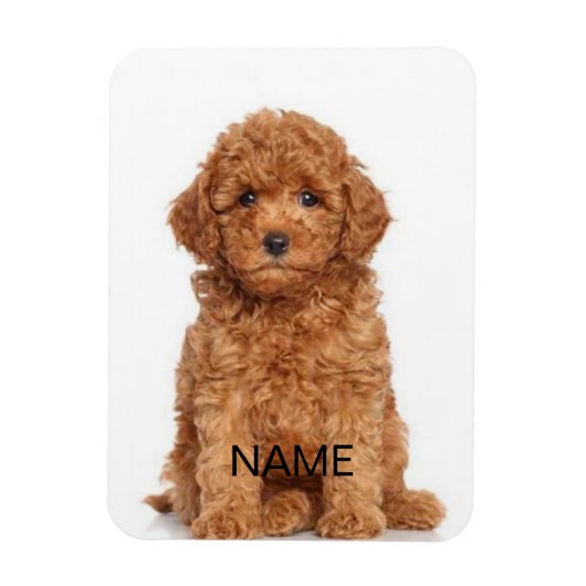 Pas personaliseren aan met foto's en namen magneet (Verticaal)