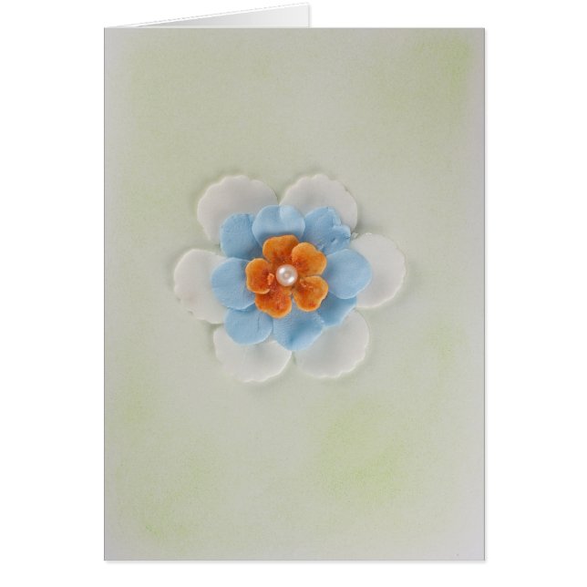 Pas prachtige witte, blauwe, oranje bloem aan (Voorkant)