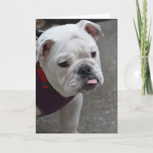 Pas Product aan Kaart (Voorkant)