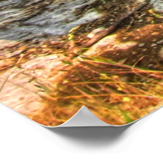 Pa's truck poster (Hoek)