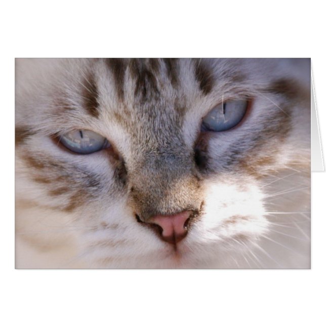 Pas uw eigen pc-kaart aan (Voorkant Horizontaal)