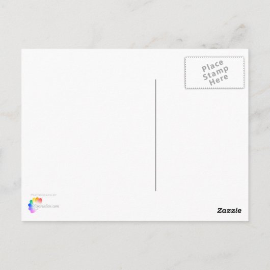 Pas uw zeilen aan briefkaart (Achterkant)