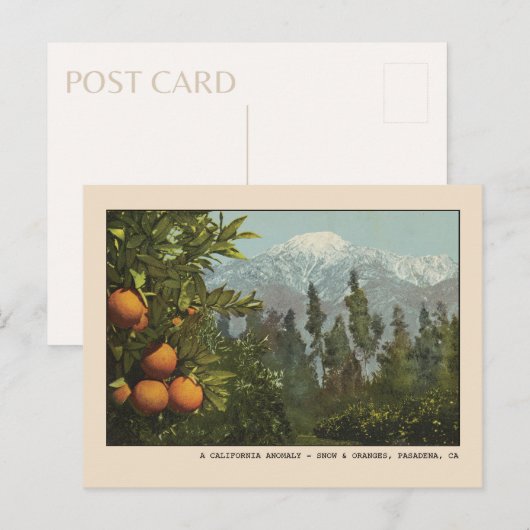 Pasadena Briefkaart Snow en Oranje Groves (Voorkant / Achterkant)