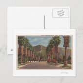 Pasadena, CA - Residental Street Scene & Palms Briefkaart (Voorkant / Achterkant)