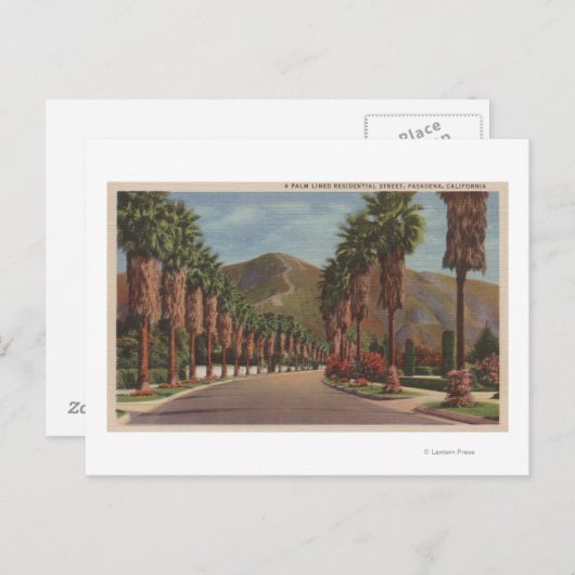 Pasadena, CA - Residental Street Scene & Palms Briefkaart (Voorkant / Achterkant)