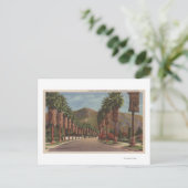 Pasadena, CA - Residental Street Scene & Palms Briefkaart (Staand voorkant)