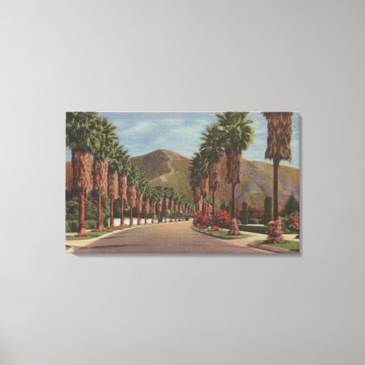 Pasadena, CA - Residental Street Scene & Palms Canvas Afdruk (Voorkant)