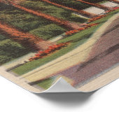 Pasadena, CA - Residental Street Scene & Palms Poster (Hoek)