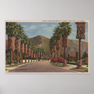Pasadena, CA - Residental Street Scene & Palms Poster