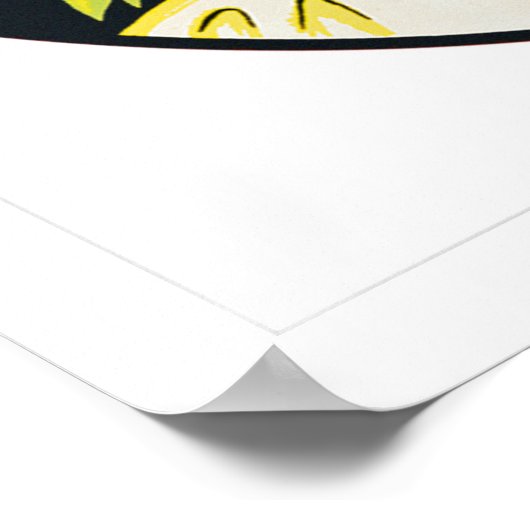 Pasadena California Poster (Hoek)