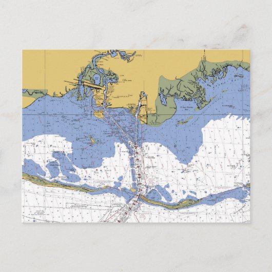 Pascagoula, Mississippi Nautical Chart Briefkaart (Voorkant)