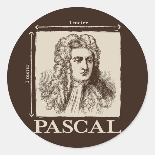 Pascal = 1 newton per vierkante meter wiskunde gra ronde sticker (Voorkant)