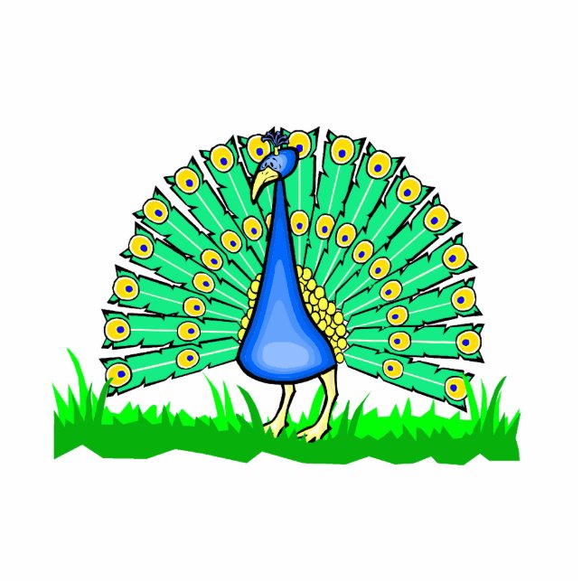 Pascal Peacock Staand Fotobeeldje (Voorkant)