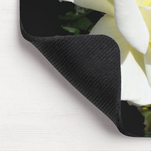 Pascali White hybride roos Muismat (Hoek)