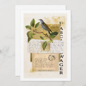 Pascal's inzet (Voorkant / Achterkant)