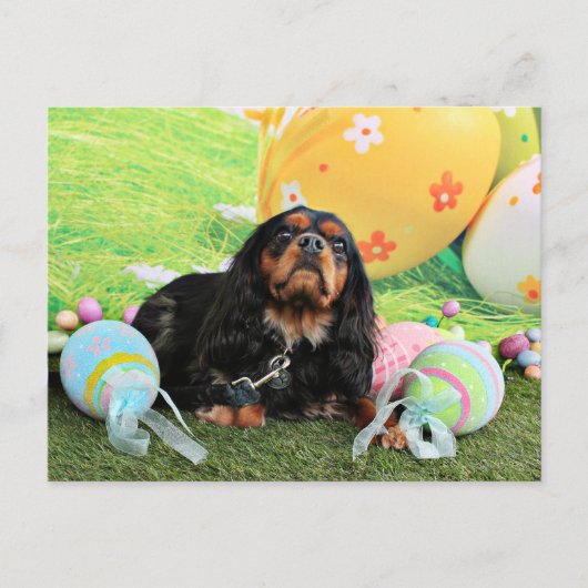 Pasen - Arrogante Koning Charles Spaniel - Charlie Feestdagenkaart (Voorkant)