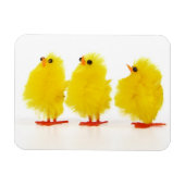 Pasen baby kuikens Flexibele Magneet (Horizontaal)