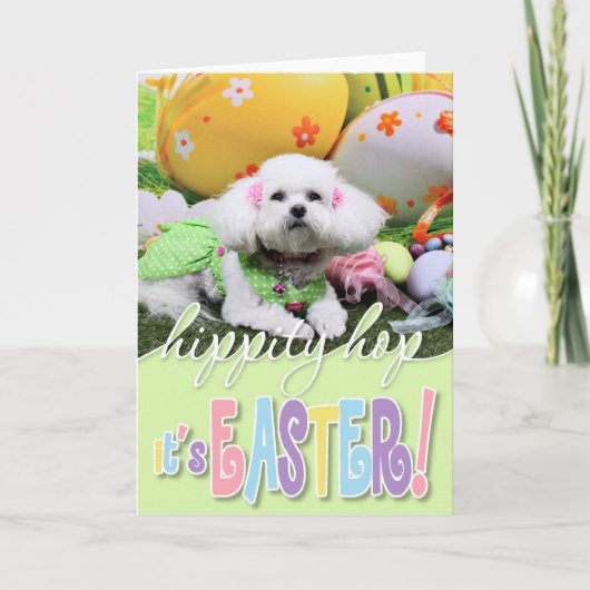 Pasen - Bichon Frise - Mia Feestdagen Kaart (Voorkant)