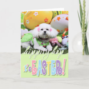 Pasen - Bichon Frise - Mia Feestdagen Kaart