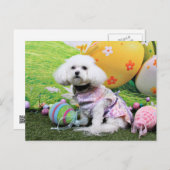 Pasen - Bichon Frise - Mia Feestdagenkaart (Voorkant / Achterkant)