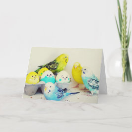 Pasen Budgies Feestdagen Kaart