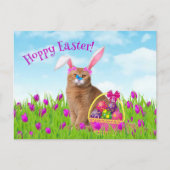 Pasen Bunny Cat Spring Vakantie Briefkaart (Voorkant)