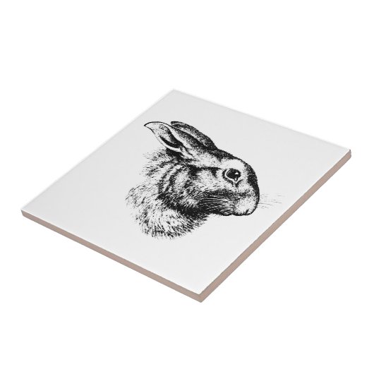 Pasen Bunny Hare Rabbit  Illustratie Tegeltje (Zijkant)