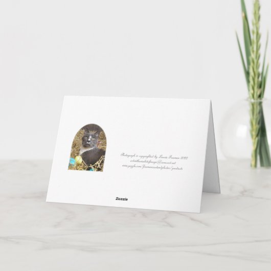 Pasen Bunny in Disguise Kaart (Achterkant)