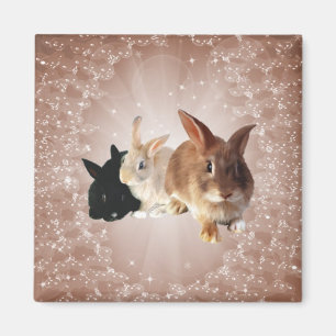 Pasen Bunny Magic Magnet