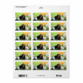 Pasen - Cavalier Koning Charles Spaniel - Charlie Etiket (Full Sheet)