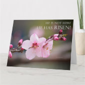 Pasen Cherry Blossom heeft Matthew 28:6. Kaart (Voorkant)