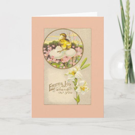 Pasen - Chick & Eggs Up a Tree - Antiek Briefkaart (Voorkant)