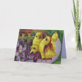 Pasen Chick Groeten Feestdagen Kaart