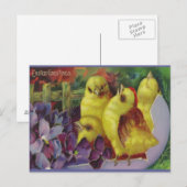 Pasen Chick Groeten Feestdagenkaart (Voorkant / Achterkant)
