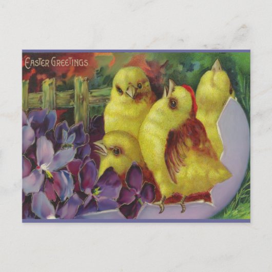Pasen Chick Groeten Feestdagenkaart (Voorkant)