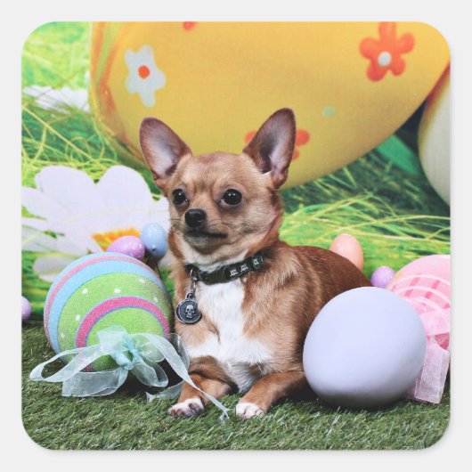 Pasen - Chihuahua - Rambo Vierkante Sticker (Voorkant)