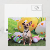 Pasen - Chipin Rockwell - Chihuahua Rambo Feestdagenkaart (Voorkant / Achterkant)
