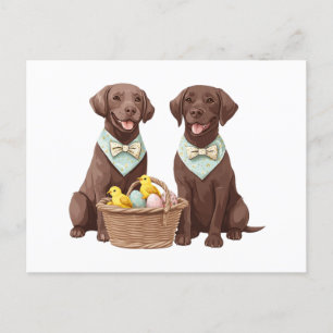 Pasen Chocolade Labrador Retriever Honden Briefkaart