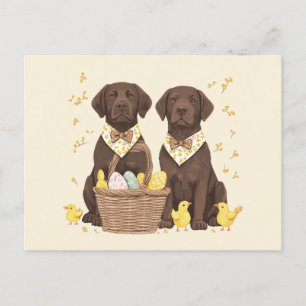 Pasen Chocolade Labrador Retriever Honden Feestdagenkaart