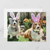 Pasen Corgis Feestdagenkaart (Voorkant / Achterkant)